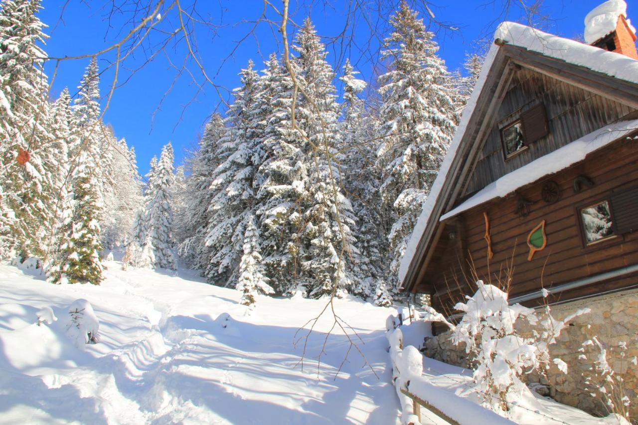 B&B Pod Skalo Камник Экстерьер фото